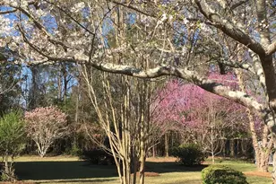 309 Cimarron Ct, Macon, GA 31220 - Photo 41