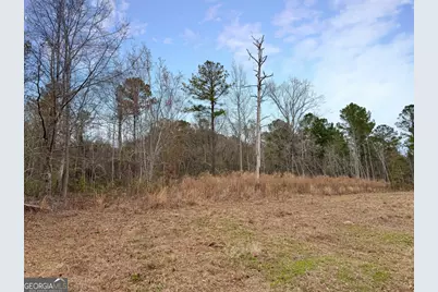 01 Industrial Park Road, Sylvania, GA 30467 - Photo 3