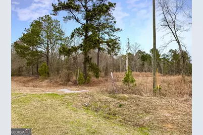 01 Industrial Park Road, Sylvania, GA 30467 - Photo 5