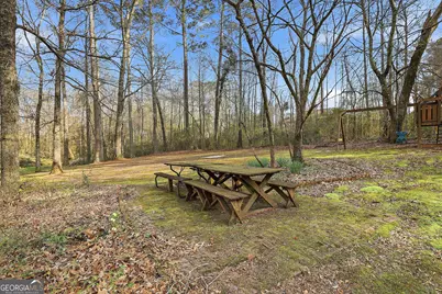 135 Spring Forest Way, Sharpsburg, GA 30277 - Photo 29