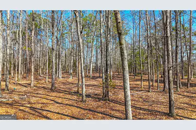 216 Ponderosa Lane, Barnesville, GA 30204 - Photo 97