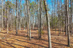 216 Ponderosa Ln, Barnesville, GA 30204 - Photo 97