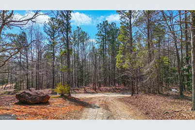 216 Ponderosa Lane, Barnesville, GA 30204 - Photo 111