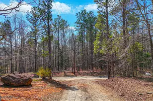 216 Ponderosa Ln, Barnesville, GA 30204 - Photo 111