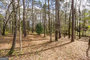 100 Trillium Terrace, Macon, GA 31210 - Photo 57