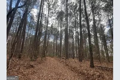 0 Gibson Rd, Talbotton, GA 31827 - Photo 35