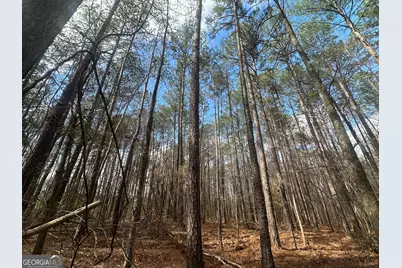 0 Gibson Rd, Talbotton, GA 31827 - Photo 5