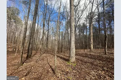 0 Gibson Rd, Talbotton, GA 31827 - Photo 11