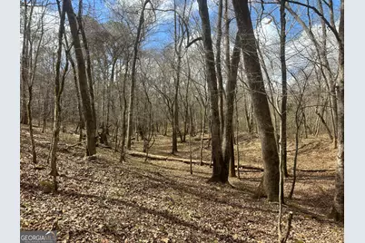 0 Gibson Rd, Talbotton, GA 31827 - Photo 33