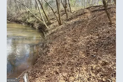 0 Gibson Rd, Talbotton, GA 31827 - Photo 25