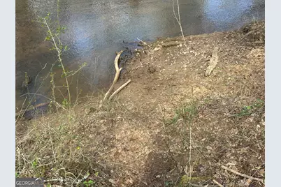 0 Gibson Rd, Talbotton, GA 31827 - Photo 21