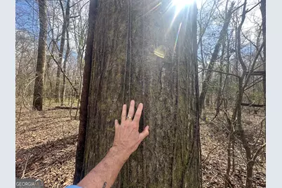 0 Gibson Rd, Talbotton, GA 31827 - Photo 27