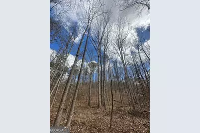 0 Gibson Rd, Talbotton, GA 31827 - Photo 37