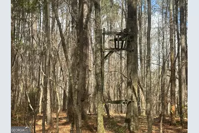 0 Gibson Rd, Talbotton, GA 31827 - Photo 19