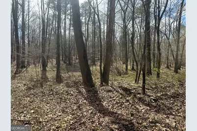 0 Gibson Rd, Talbotton, GA 31827 - Photo 29