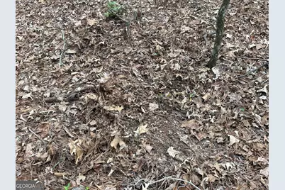 0 Gibson Rd, Talbotton, GA 31827 - Photo 9