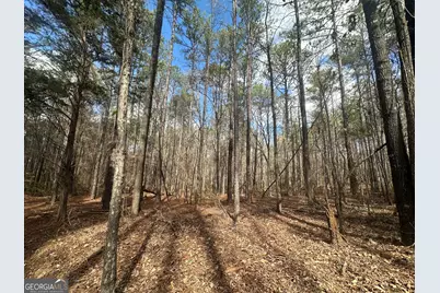 0 Gibson Rd, Talbotton, GA 31827 - Photo 15