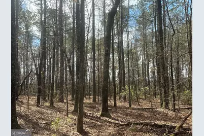 0 Gibson Rd, Talbotton, GA 31827 - Photo 7