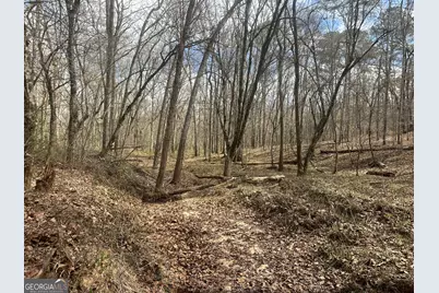 0 Gibson Rd, Talbotton, GA 31827 - Photo 23