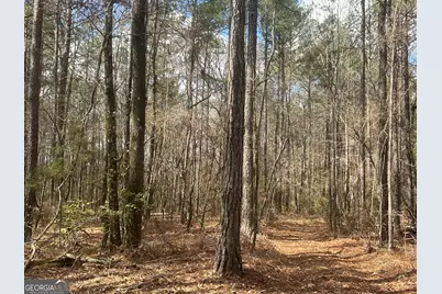 0 Gibson Rd, Talbotton, GA 31827 - Photo 13