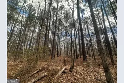 0 Gibson Rd, Talbotton, GA 31827 - Photo 3