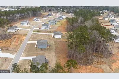 115 Cooper Cove East, Fayetteville, GA 30214 - Photo 43