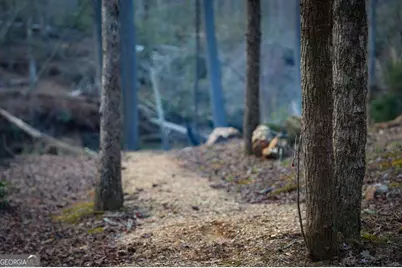 164 Water Dance Trail, Blue Ridge, GA 30513 - Photo 17