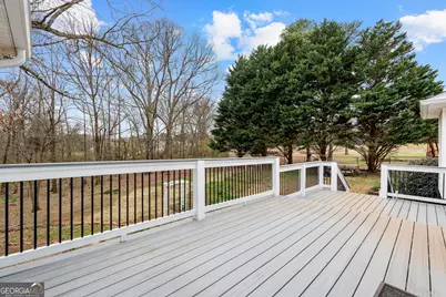 27 Strathmore Drive, Sharpsburg, GA 30277 - Photo 47