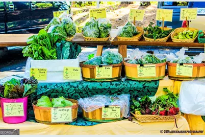 13 Perthshire Drive, Peachtree City, GA 30269 - Photo 35