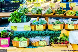 13 Perthshire Dr, Peachtree City, GA 30269 - Photo 35