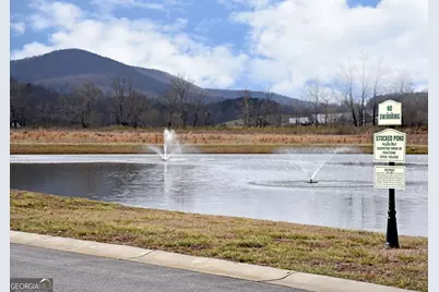 101 Foggy Mtn Road, Blairsville, GA 30512 - Photo 23