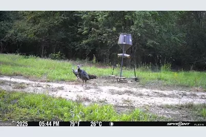 7329 Houston Road, Macon, GA 31216 - Photo 45