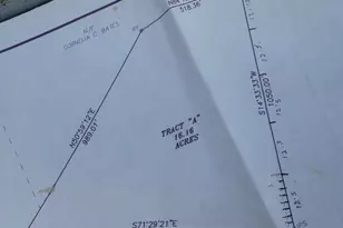 6642 Old Moniac Rd, Saint George, GA 31562 - Photo 33