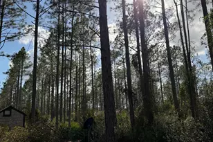 6642 Old Moniac Rd, Saint George, GA 31562 - Photo 23