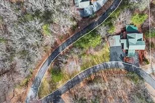 225 Hiawatha Trail, Blue Ridge, GA 30513 - Photo 75