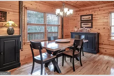 225 Hiawatha Trail, Blue Ridge, GA 30513 - Photo 13