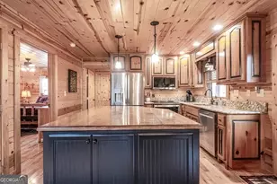 225 Hiawatha Trail, Blue Ridge, GA 30513 - Photo 17