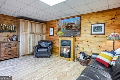 225 Hiawatha Trail, Blue Ridge, GA 30513 - Photo 43