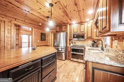 225 Hiawatha Trail, Blue Ridge, GA 30513 - Photo 15