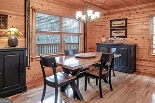 225 Hiawatha Trail, Blue Ridge, GA 30513 - Photo 11