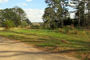 632 Flat Shoals Church Rd, Stockbridge, GA 30281 - Photo 37