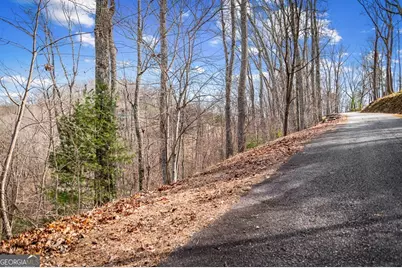 Lot 20 Raven Ridge Circle, Mineral Bluff, GA 30599 - Photo 7