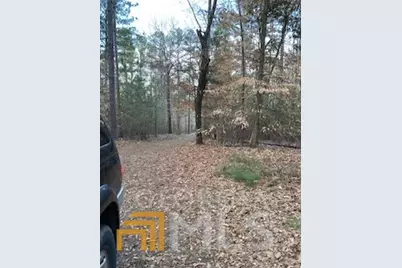 0 Bluff Road, Elberton, GA 30635 - Photo 5