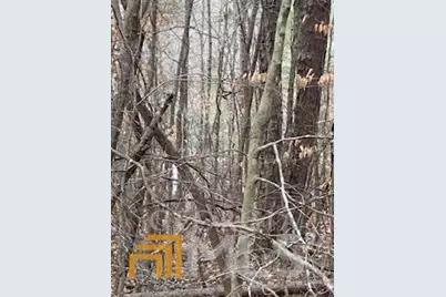 0 Bluff Road, Elberton, GA 30635 - Photo 3