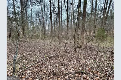 0 Lakeshore Road, Martin, GA 30557 - Photo 7