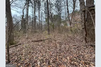 0 Lakeshore Road, Martin, GA 30557 - Photo 5