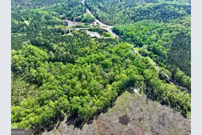 0 Ga Highway 87, Juliette, GA 31046 - Photo 7