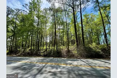 0 Ga Highway 87, Juliette, GA 31046 - Photo 11