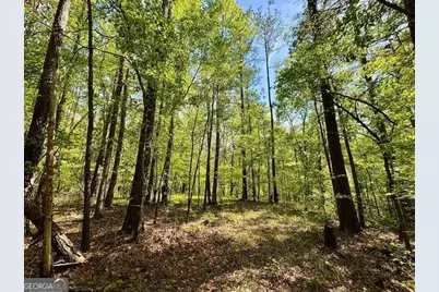 0 Ga Highway 87, Juliette, GA 31046 - Photo 17