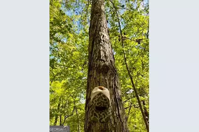 0 Ga Highway 87, Juliette, GA 31046 - Photo 15